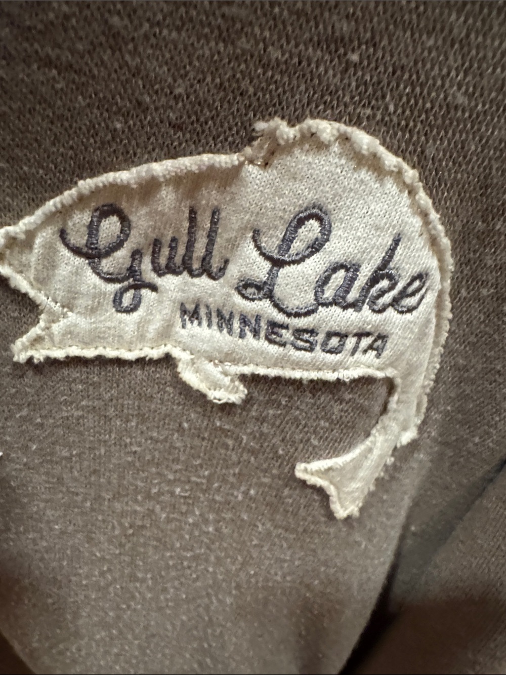 Gray Cozy Zip-Up Hoodie with Lake Patch